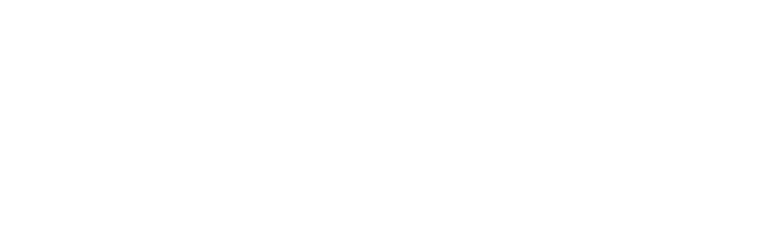 OWASP Scan